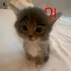 emae_eee0