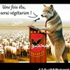 atlassi.mohamed