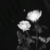 its_selaa123