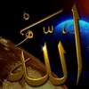 rajawidriss867