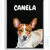 canela823