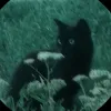 hi.t.here1