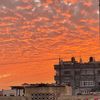 mohahamed827