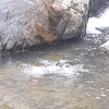 chandranchandran0095