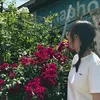 imkwin_n