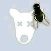 roma_kayf