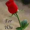 user200861651