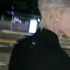 cuttiecatt