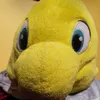 mattduverger69