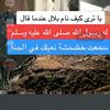 user8557597127146