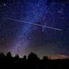 strange_caporal