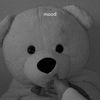 sarahamed579