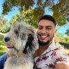 the.k9chronicles