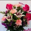 user7wjl2k31c9