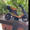 raccoltafotomodellini