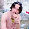 kurmiwal1