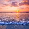 robi__680