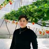 nguyensei92