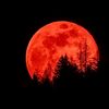bulan_rasul