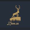 zogha_q8