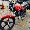el.del.md.rojo_77