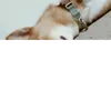 mm934659