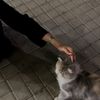 razan26040