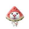 fat__90101