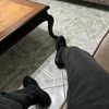 ponce_0987