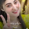 sifatkhan9445