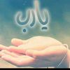 nouraallouch48