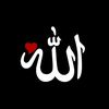 .alihamzagujjar