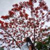 manisha_pradhan24