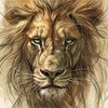 .moke85
