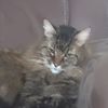 jamesdittmar625