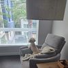www.tiktok.com.luna61