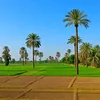 700.vs4