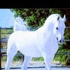 badji736