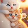 azza.kandel8