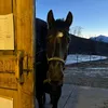 philomena_0506