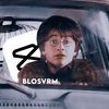 blosvrm
