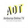 Ambursatvonline