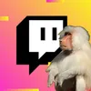 Babouin_Sale Twitch