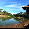 Dunia mancing8692
