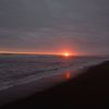 flor_111810