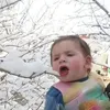 aimalkhanyousaf48