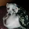 juanpiiiiiiiiiy