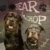 bear_the_rottweiler_01