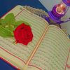 ❤️ورده روان♥️♥..℘₰ﮩ℘₰ﮩ.... ♡