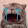 ⓁⒶⒾⓈẹⓄ